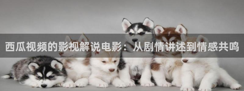 人人影院下载：西瓜视频的影视解说电影：从剧情讲述到情感共鸣