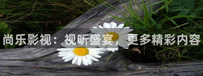 人人影视app免费观看：尚乐影视：视听盛宴，更多精彩内容