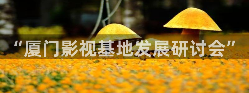 人人影院在线观看免费高清电视剧：“厦门影视基地发展研讨会”