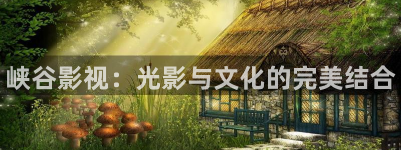 理论片人人影院：峡谷影视：光影与文化的完美结合