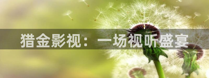 人人影院影院：猎金影视：一场视听盛宴