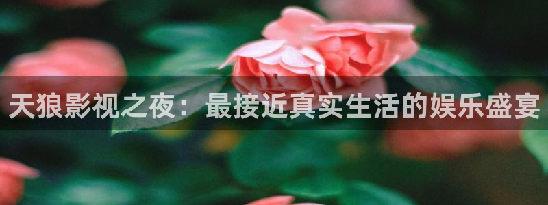 人人影院日韩最新：天狼影视之夜：最接近真实生活的娱乐盛宴