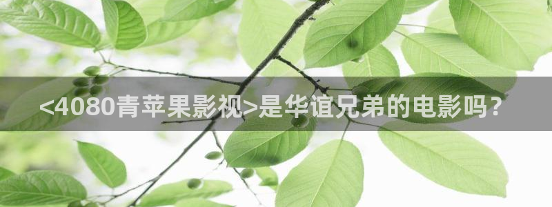 人人影巴：<4080青苹果影视>是华谊兄弟的电影吗？