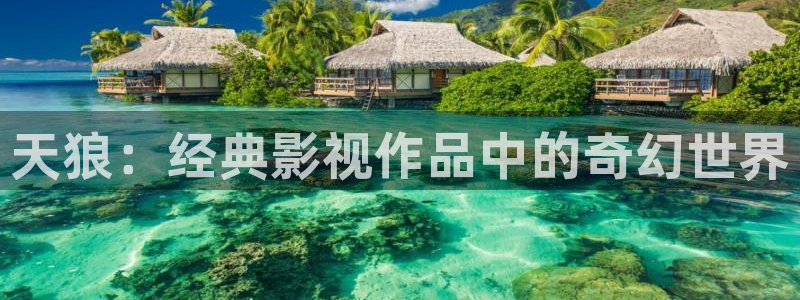 人人影院最新电影电视剧网：天狼：经典影视作品中的奇幻世界