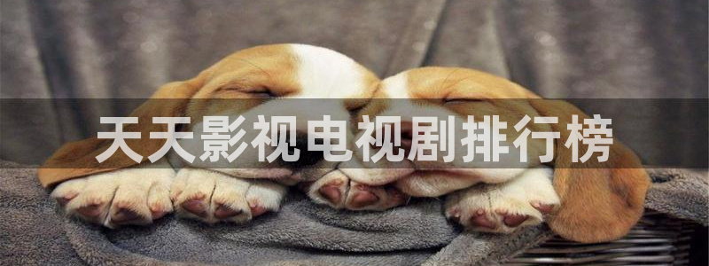 人人影院电视剧：天天影视电视剧排行榜