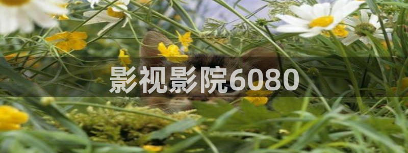 人人影院1024：影视影院6080
