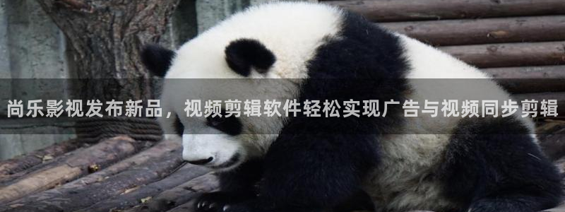 91人人影院：尚乐影视发布新品，视频剪辑软件轻松实现广告与视频同步剪辑
