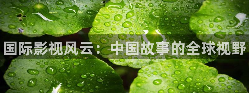 人人影视app下载官网：国际影视风云：中国故事的全球视野