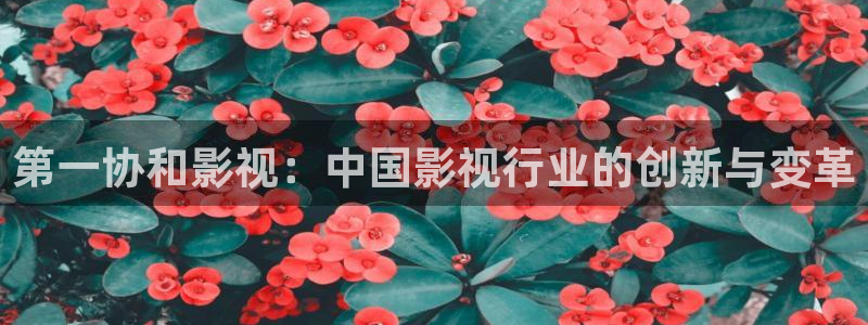 人人影院51：第一协和影视：中国影视行业的创新与变革