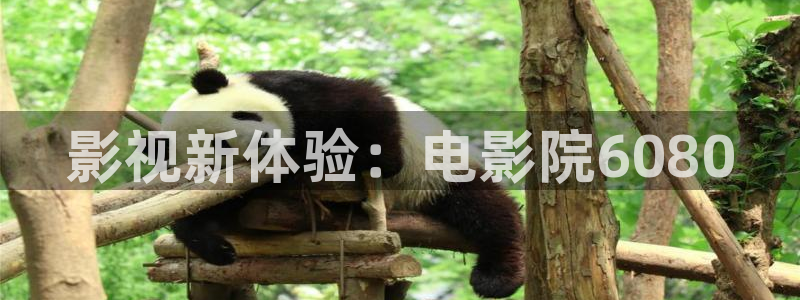 avtom影院永久地址人人影院：影视新体验：电影院6080
