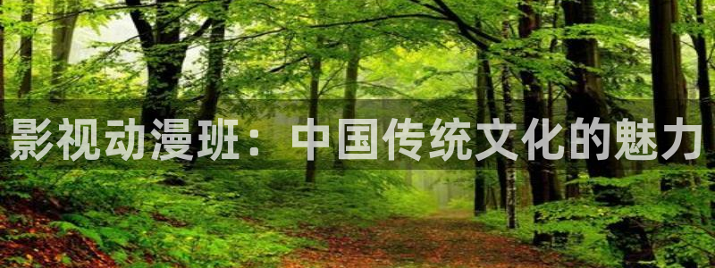 人人影院艳史：影视动漫班：中国传统文化的魅力