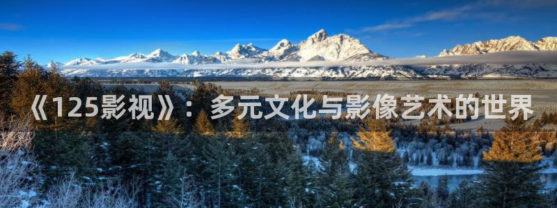 人人影视剧：《125影视》：多元文化与影像艺术的世界