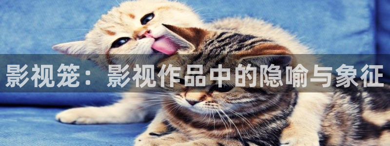 人人影视官网：影视笼：影视作品中的隐喻与象征