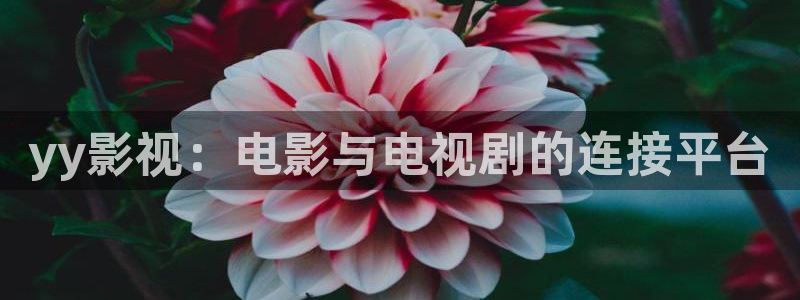 www.人人影院：yy影视：电影与电视剧的连接平台