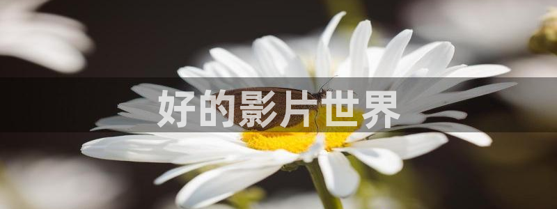 人人影院：好的影片世界