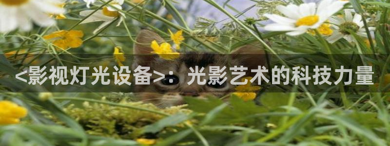 私人人影院：<影视灯光设备>：光影艺术的科技力量