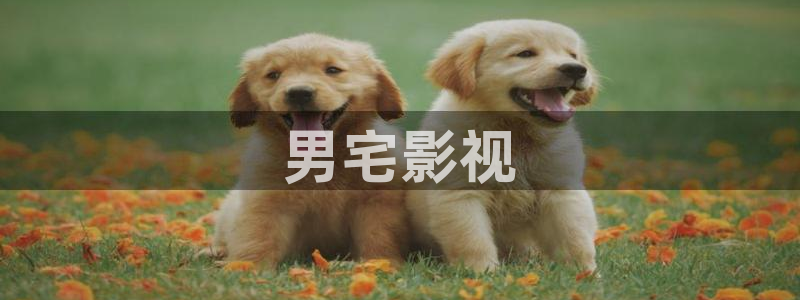 人人影音电脑版：男宅影视