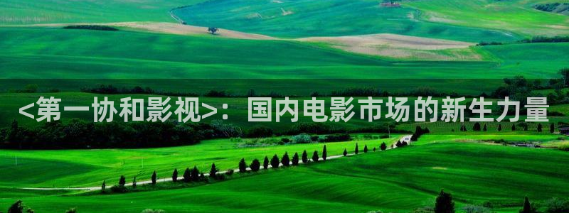 人人视频网站：<第一协和影视>：国内电影市场的新生力量