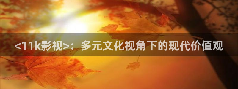 avtom影院永久地址人人影院：<11k影视>：多元文化视角下的现代价值观