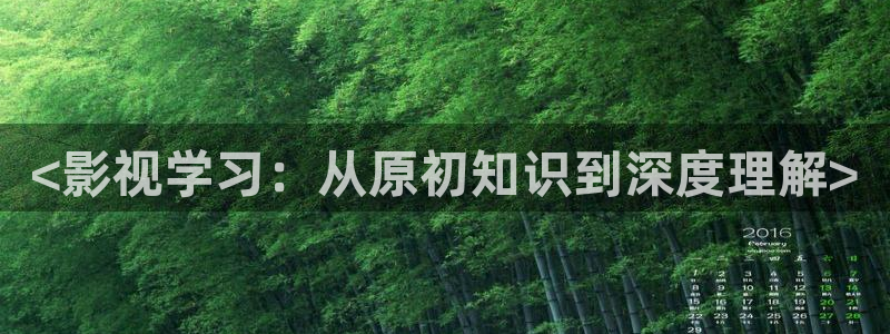 人人视频电视版：<影视学习：从原初知识到深度理解>