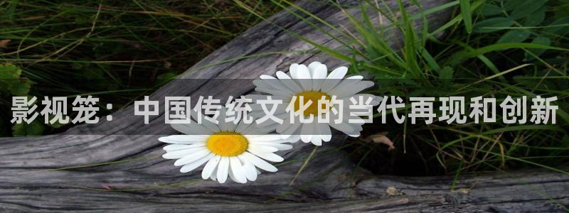 色人人影院：影视笼：中国传统文化的当代再现和创新