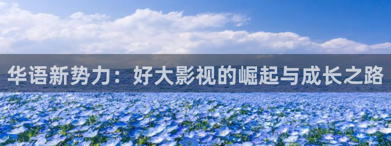 人人干人人影院片：华语新势力：好大影视的崛起与成长之路
