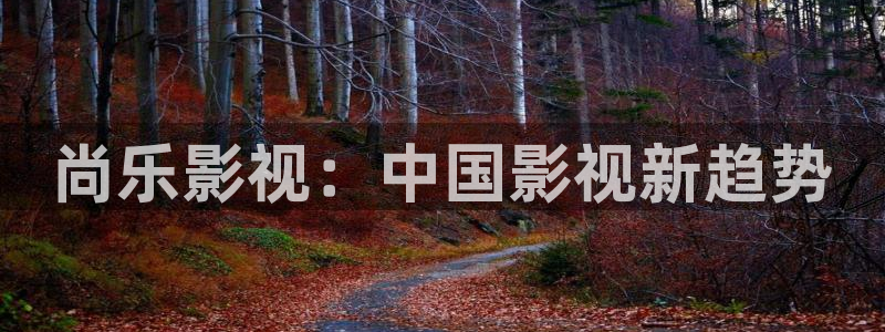 avtom影院永久地址人人影院：尚乐影视：中国影视新趋势