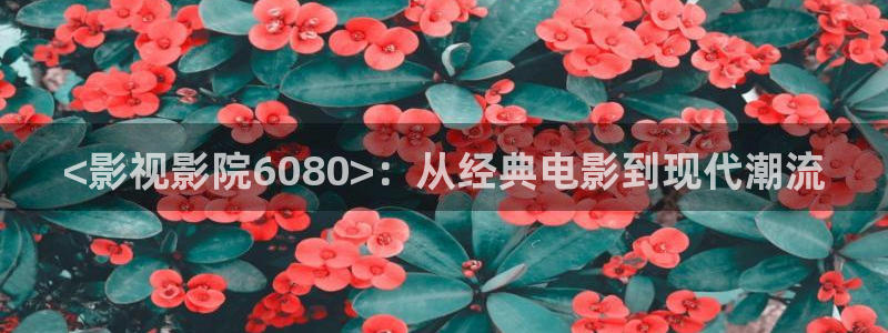 人人影院：<影视影院6080>：从经典电影到现代潮流