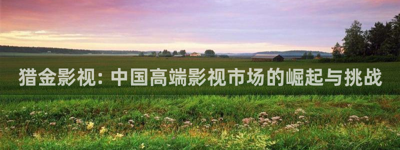 人人影院.