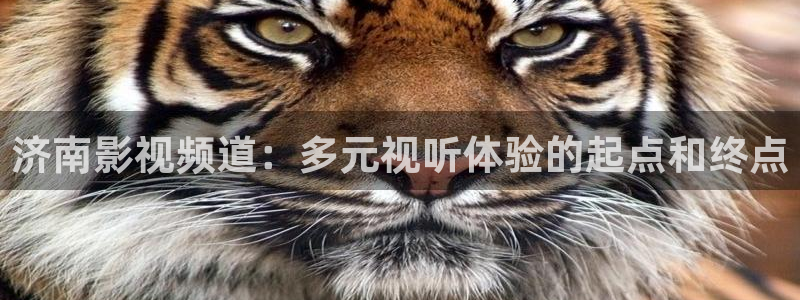 97人人爽人人影院