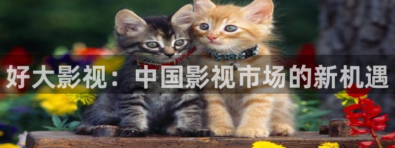 人人影院成大片