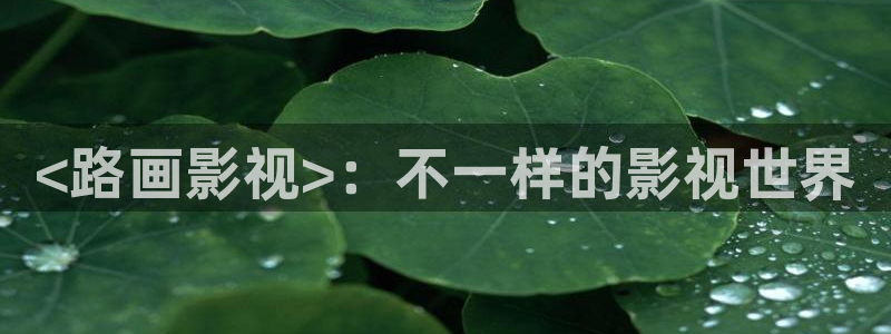 人人视频电脑版