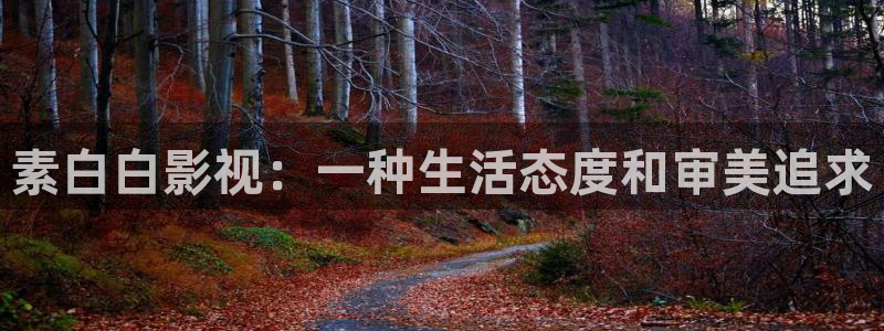人人影院网址