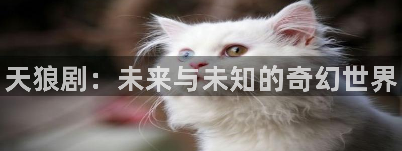 97人人爽人人影院