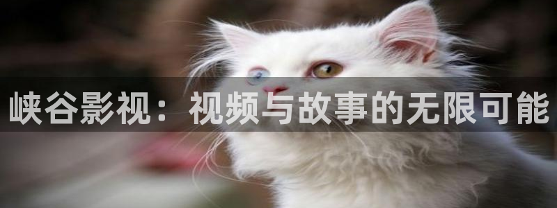 caowo人人影院