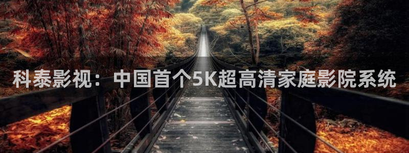 新人人影院