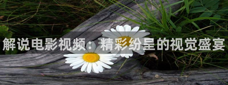 人人视频在线