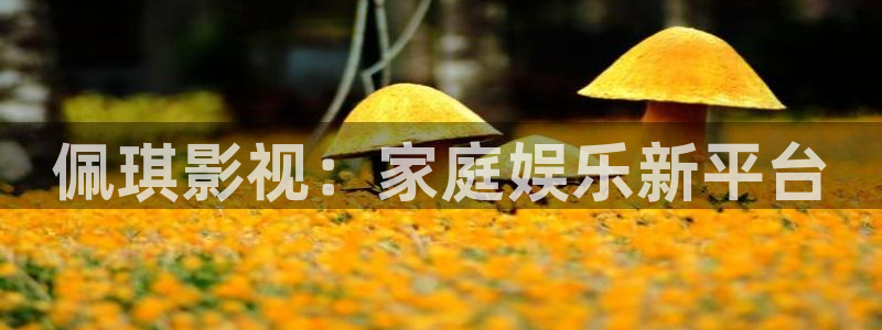 人人影院51