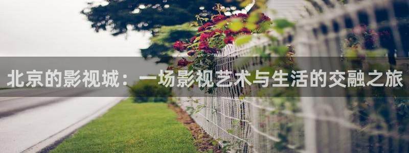 人人影院伦理片