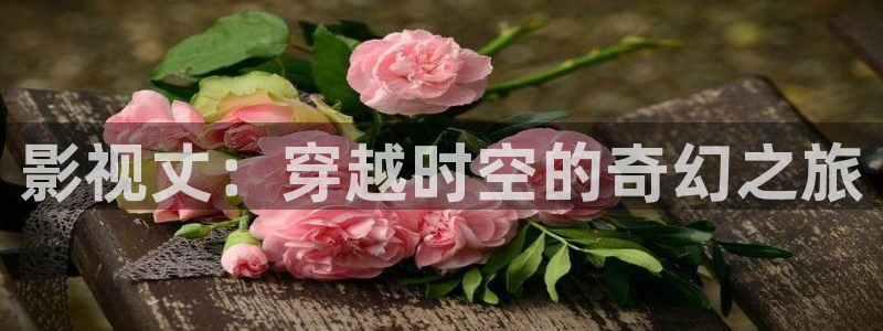 人人影视大全