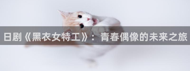 人人视频在线：日剧《黑衣女特工》：青春偶像的未来之旅