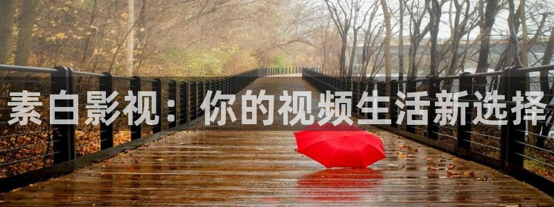 人人影院在线：素白影视：你的视频生活新选择