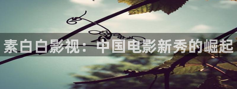 人人影剧院：素白白影视：中国电影新秀的崛起